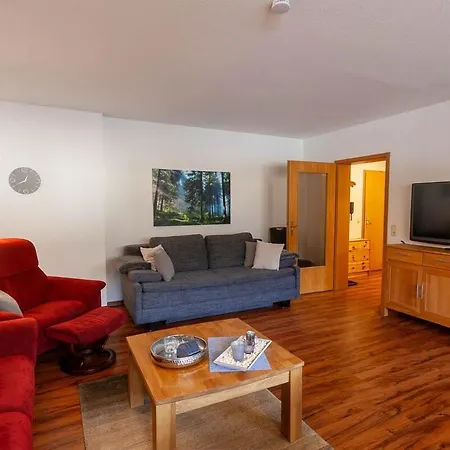 Bergrast Mit Balkon Appartement *